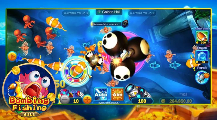 qq33